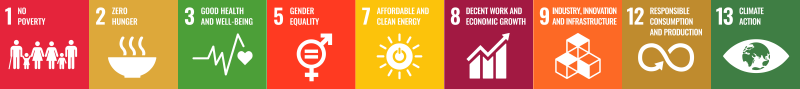 Icons for the UN Sustainable Development Guidelines (SDGs 1, 2, 3, 5, 7, 8, 9, 12, 13)